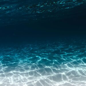 In Person: Trauma, Peace and Finding It - April 10, 2026